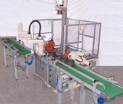 Trimming machine with handling system by robot